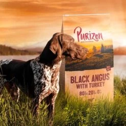 Purizon Probierpaket 2 X 1 Kg -Günstiges Futter Leine Geschäft 1962773b 193e 4dc7 a0e5 2bcdc41fc4b4 2