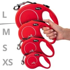 Flexi New Classic Gurt-Leine S Schwarz, 5 M 19 Flexi New Classic Gurt-Leine S Schwarz, 5 M -Günstiges Futter Leine Geschäft 198003 flexi new classic gurt leine s schwarz hs4 3