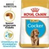 Royal Canin Cocker Puppy -Günstiges Futter Leine Geschäft 1 84452 royalcanin puppyhund cocker mainpic 2