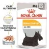 Royal Canin Dermacomfort Mousse -Günstiges Futter Leine Geschäft 1 rc ccn wet dermacomfort mv eretailkit de de 1