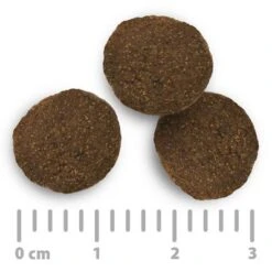 Sparpaket Purizon Classic 2 X 12 Kg -Günstiges Futter Leine Geschäft 2020 08 purizon food size 1000x1000 int 9 1