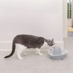 PetSafe® Streamside Keramik Trinkbrunnen -Günstiges Futter Leine Geschäft 206268 radiosystems petsafe streamside keramik trinkbrunnen hs 04 4