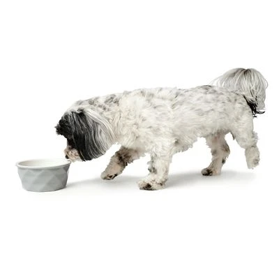 HUNTER Keramik Napf Eiby Zum Sonderpreis!neu 7 HUNTER Keramik Napf Eiby Zum Sonderpreis!neu – Bild 5