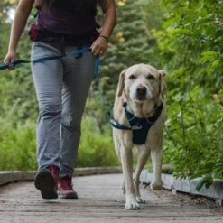 Ruffwear Front Range Hundegeschirr, Blue Moon -Günstiges Futter Leine Geschäft 215603 215604 215605 accapi ruffwear frontrange hundegeschirr bluemoon hs 12 1