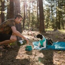 Ruffwear Front Range Hundegeschirr, Aurora Teal -Günstiges Futter Leine Geschäft 215896 215897 215898 ruffwear frontrange hundegeschirr aurorateal hs 13 1