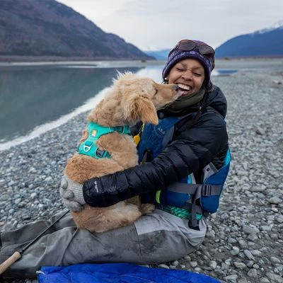 Ruffwear Front Range Hundegeschirr, Aurora Teal – Bild 3