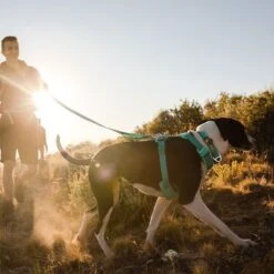 Ruffwear Front Range Hundegeschirr, Aurora Teal -Günstiges Futter Leine Geschäft 215896 215897 215898 ruffwear frontrange hundegeschirr aurorateal hs 19 4