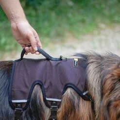 Ferplast Ergotrekking Geschirr, Braun -Günstiges Futter Leine Geschäft 224505 224506 224507 ferplast ergotrekking geschirr braun hs 10 0