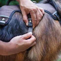 Ferplast Ergotrekking Geschirr, Braun -Günstiges Futter Leine Geschäft 224505 224506 224507 ferplast ergotrekking geschirr braun hs 11 2