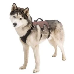 Ferplast Ergotrekking Geschirr, Braun -Günstiges Futter Leine Geschäft 224505 224506 224507 ferplast ergotrekking geschirr braun hs 13 7