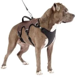 Ferplast Ergotrekking Geschirr, Braun -Günstiges Futter Leine Geschäft 224505 224506 224507 ferplast ergotrekking geschirr braun hs 14 0