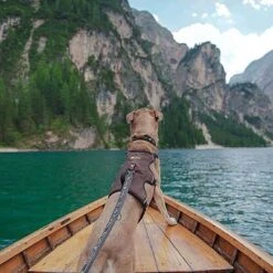 Ferplast Ergotrekking Geschirr, Braun -Günstiges Futter Leine Geschäft 224505 224506 224507 ferplast ergotrekking geschirr braun hs 18 4