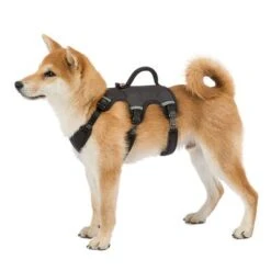 Ferplast Ergotrekking Geschirr, Schwarz -Günstiges Futter Leine Geschäft 224508 224509 224510 ferplast ergotrekking geschirr schwarz hs 10 4