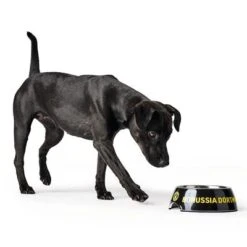 HUNTER Melamin-Napf BVB -Günstiges Futter Leine Geschäft 224527 224528 224529 hunter melamin napf bvb hs 06 5