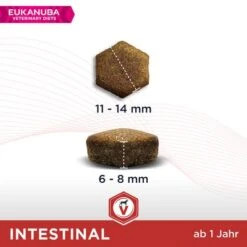 Eukanuba VETERINARY DIETS Adult Intestinal -Günstiges Futter Leine Geschäft 230702 tetra eukanuba veterinarydiets adult intestinal 12kg hs 03 3