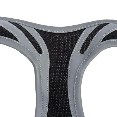 Sparset: Hunde-Softgeschirr Feel Free - Schwarz + HUNTER Führleine Ecco Sport, Schwarz 11 Sparset: Hunde-Softgeschirr Feel Free - Schwarz + HUNTER Führleine Ecco Sport, Schwarz – Bild 9