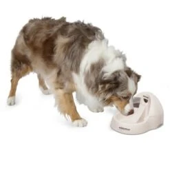 Petmate Fresh Flow Deluxe Trinkbrunnen 10 Petmate Fresh Flow Deluxe Trinkbrunnen -Günstiges Futter Leine Geschäft 23406 petmate fresh flow deluxe creme hs 02 9