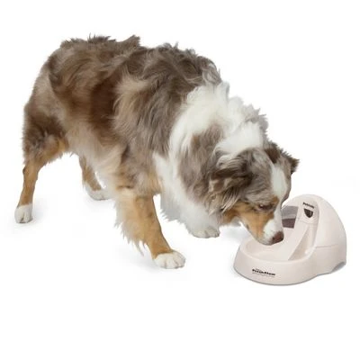 Petmate Fresh Flow Deluxe Trinkbrunnen 5 Petmate Fresh Flow Deluxe Trinkbrunnen – Bild 3