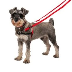 Halti Trainingsleine 16 Halti Trainingsleine -Günstiges Futter Leine Geschäft 235202 coa halti trainingsleine rot hs1 0