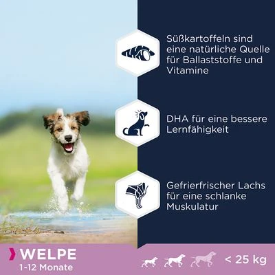 Eukanuba Grain Free Puppy Small / Medium Breed Lachs 5 Eukanuba Grain Free Puppy Small / Medium Breed Lachs – Bild 3