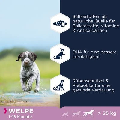 Eukanuba Grain Free Puppy Large Breed Lachs – Bild 3