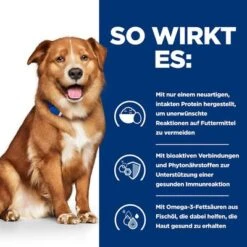 Hill’s Prescription Diet Derm Complete Mit Reis & Ei 16 Hill’s Prescription Diet Derm Complete Mit Reis & Ei -Günstiges Futter Leine Geschäft 242405 hills prescriptiondiet caninederm complete trockenfutter hs 05 0