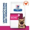 Hill's Prescription Diet Gastrointestinal Biome Mit Huhn 1 Hill's Prescription Diet Gastrointestinal Biome Mit Huhn -Günstiges Futter Leine Geschäft 242407 hills prescriptiondiet canine gastrointestinal biome hs 03 4