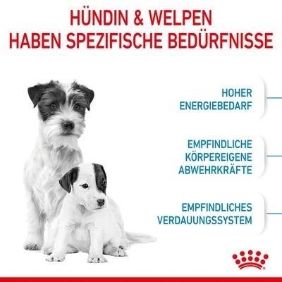 Royal Canin Mini Starter Mother & Babydog 7 Royal Canin Mini Starter Mother & Babydog – Bild 5