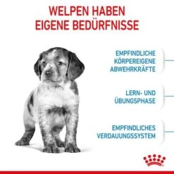 Royal Canin Medium Puppy -Günstiges Futter Leine Geschäft 252307 252308 royalcanin dog medium puppy hs 04 2