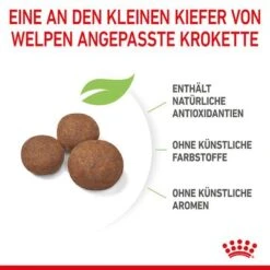 Royal Canin Medium Puppy -Günstiges Futter Leine Geschäft 252307 252308 royalcanin dog medium puppy hs 06 1