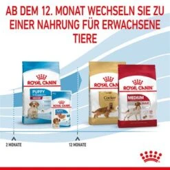Royal Canin Medium Puppy -Günstiges Futter Leine Geschäft 252307 252308 royalcanin dog medium puppy hs 10 0