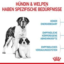 Royal Canin Giant Starter Mother & Babydog -Günstiges Futter Leine Geschäft 252309 royalcanin giantbreed starter motherbabydog hs 03 1