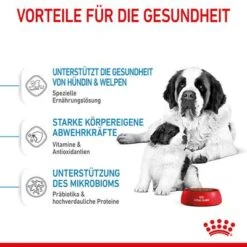 Royal Canin Giant Starter Mother & Babydog -Günstiges Futter Leine Geschäft 252309 royalcanin giantbreed starter motherbabydog hs 04 6