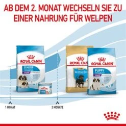 Royal Canin Giant Starter Mother & Babydog -Günstiges Futter Leine Geschäft 252309 royalcanin giantbreed starter motherbabydog hs 09 5
