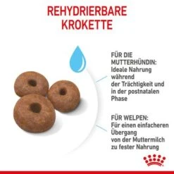Royal Canin Giant Starter Mother & Babydog -Günstiges Futter Leine Geschäft 252309 royalcanin giantbreed starter motherbabydog hs 6 8