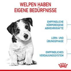 Royal Canin Mini Puppy 18 Royal Canin Mini Puppy -Günstiges Futter Leine Geschäft 252997 252306 253096 royalcanin dog mini puppy hs 06 6