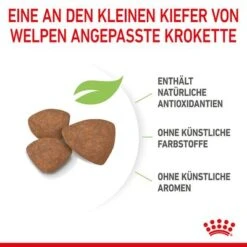 Royal Canin Mini Puppy 20 Royal Canin Mini Puppy -Günstiges Futter Leine Geschäft 252997 252306 253096 royalcanin dog mini puppy hs 08 5