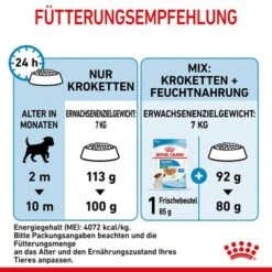 Royal Canin Mini Puppy 24 Royal Canin Mini Puppy -Günstiges Futter Leine Geschäft 252997 252306 253096 royalcanin dog mini puppy hs 12 1