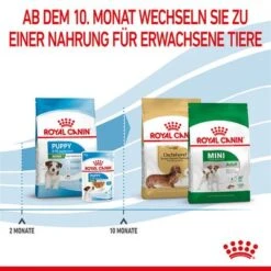 Royal Canin Mini Puppy 25 Royal Canin Mini Puppy -Günstiges Futter Leine Geschäft 252997 252306 253096 royalcanin dog mini puppy hs 13 7