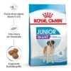Royal Canin Giant Junior 2 Royal Canin Giant Junior -Günstiges Futter Leine Geschäft 253100 royalcanin dog giant junior hs 03 5