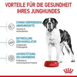 Royal Canin Giant Junior -Günstiges Futter Leine Geschäft 253100 royalcanin dog giant junior hs 04 3