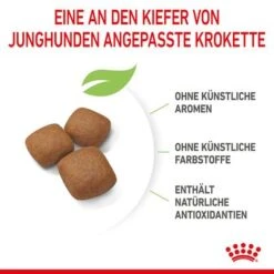 Royal Canin Giant Junior -Günstiges Futter Leine Geschäft 253100 royalcanin dog giant junior hs 06 4