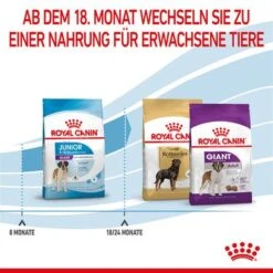 Royal Canin Giant Junior -Günstiges Futter Leine Geschäft 253100 royalcanin dog giant junior hs 10 5