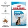 Royal Canin Maxi Puppy -Günstiges Futter Leine Geschäft 253296 253297 royalcanin puppymaxi dog hs 03 7