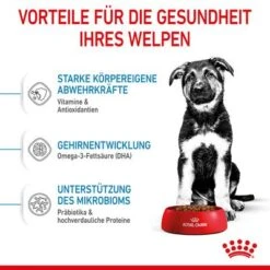 Royal Canin Maxi Puppy -Günstiges Futter Leine Geschäft 253296 253297 royalcanin puppymaxi dog hs 04 8
