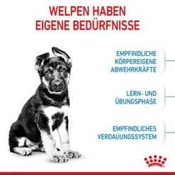 Royal Canin Maxi Puppy -Günstiges Futter Leine Geschäft 253296 253297 royalcanin puppymaxi dog hs 05 8
