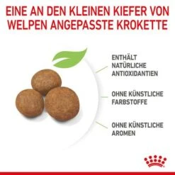 Royal Canin Maxi Puppy -Günstiges Futter Leine Geschäft 253296 253297 royalcanin puppymaxi dog hs 06 6