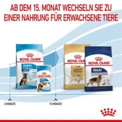 Royal Canin Maxi Puppy -Günstiges Futter Leine Geschäft 253296 253297 royalcanin puppymaxi dog hs 11 3