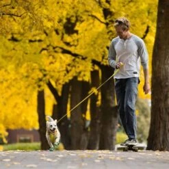 RUFFWEAR Hi & Light Leine -Günstiges Futter Leine Geschäft 262501 accapi ruffwear hi light leash lichengreen hs 13 5