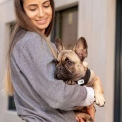 Curli Vest Geschirr Clasp Air-Mesh, Schwarz 13 Curli Vest Geschirr Clasp Air-Mesh, Schwarz -Günstiges Futter Leine Geschäft 267309 267310 267311 267312 267696 267796 curli vest geschirr clasp airmesh schwarz hs 05 4